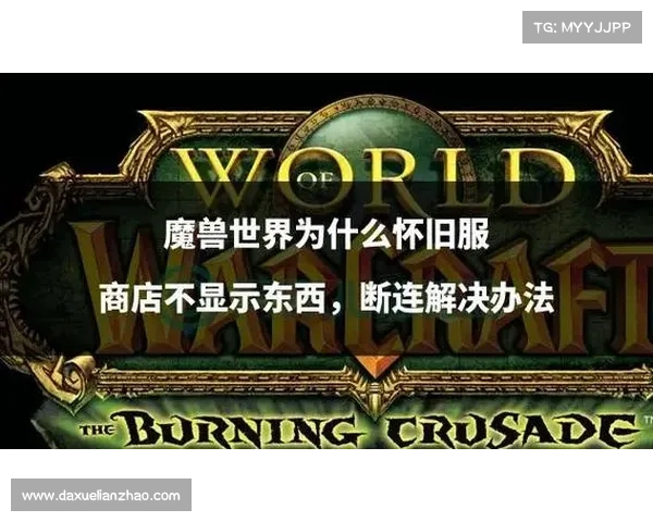 魔兽世界怀旧：团队界面隐匿术